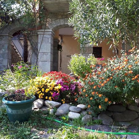 Old House Apartment With Garden Area Mtsʼkhetʼa Dış mekan fotoğraf