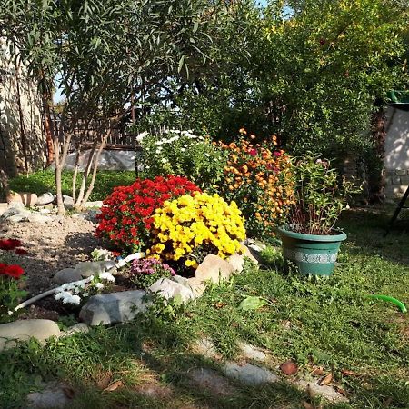Old House Apartment With Garden Area Mtsʼkhetʼa Dış mekan fotoğraf