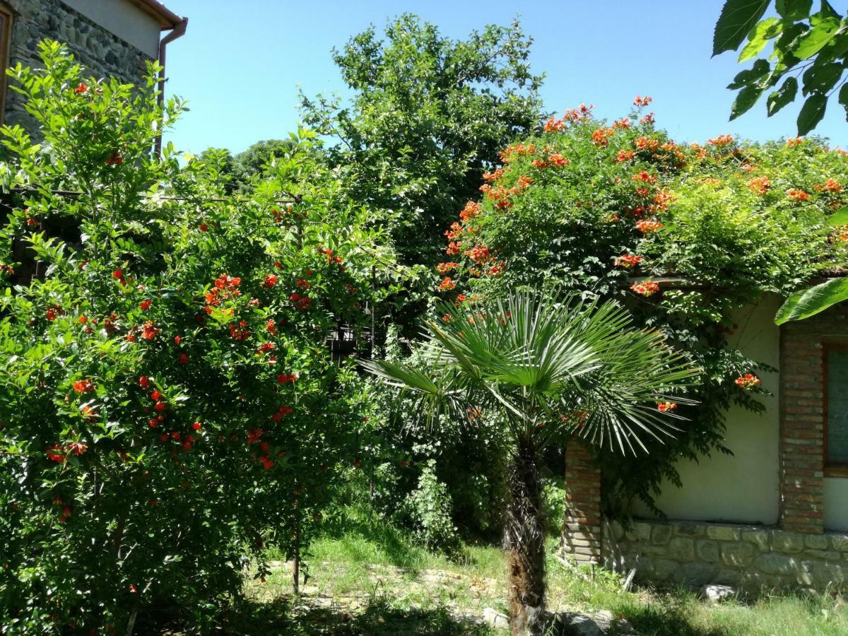 Old House Apartment With Garden Area Mtsʼkhetʼa Dış mekan fotoğraf